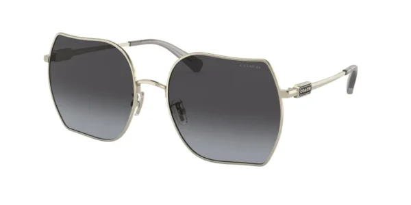 Coach 7142 - Image 2