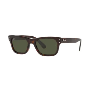 Ray-Ban 2283