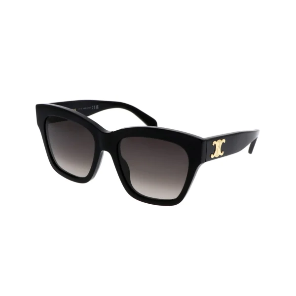 Celine CL40253I