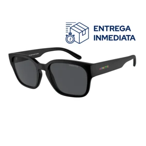 Arnette 4325 290087