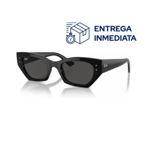 RAYBAN 4430 667787