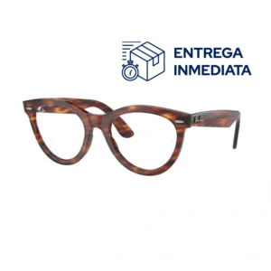 RX RAYBAN 2241V 2144