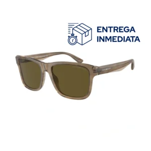 EMPORIO ARMANI 4208 605573