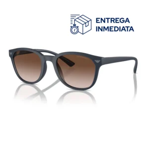 EMPORIO ARMANI 4225U 53/00 508813